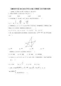 安徽省怀宁县2023-2024学年九年级上学期第三次月考数学试卷（含答案）