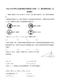 2022-2023学年山东省东营市利津县七年级（上）期末数学试卷（五四学制）（含解析）