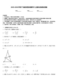 2023-2024學(xué)年廣東省寶塔實(shí)驗(yàn)數(shù)學(xué)八上期末達(dá)標(biāo)測(cè)試試題含答案