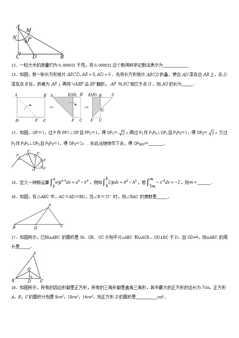 2023-2024学年湖南省益阳地区八上数学期末复习检测模拟试题含答案03