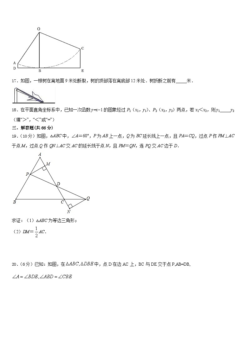 2023-2024学年福建省龙岩市永定区金丰片八年级数学第一学期期末复习检测试题含答案03