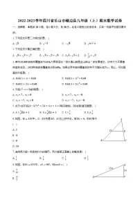 2022-2023学年四川省乐山市峨边县九年级(上)期末数学试卷(含解析)