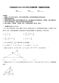 江苏省仪征市2023-2024学年八年级数学第一学期期末检测试题含答案