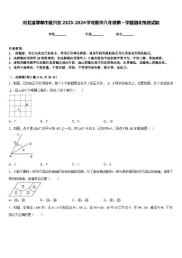 河北省邯郸市复兴区2023-2024学年数学八年级第一学期期末预测试题含答案