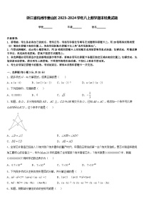 浙江省杭州市萧山区2023-2024学年八上数学期末经典试题含答案