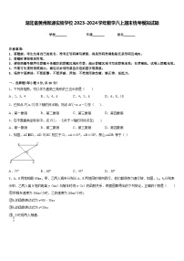 湖北省黃州思源實(shí)驗(yàn)學(xué)校2023-2024學(xué)年數(shù)學(xué)八上期末統(tǒng)考模擬試題含答案