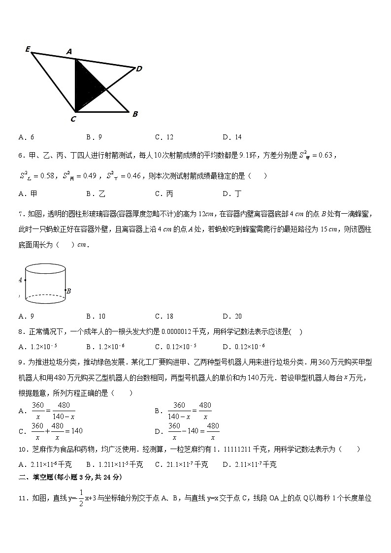 湖南省张家界市民族中学2023-2024学年数学八上期末经典试题含答案02