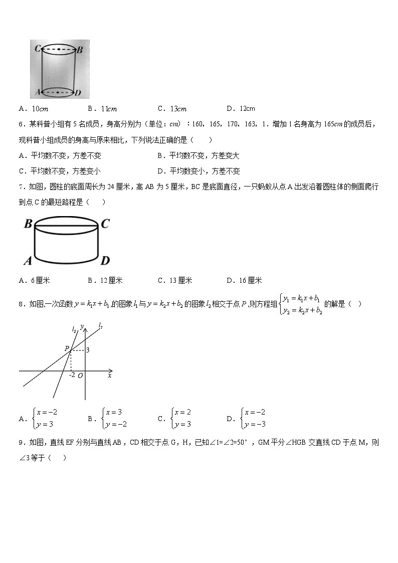 福建省福清市2023-2024学年八上数学期末教学质量检测模拟试题含答案02
