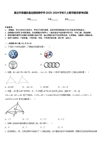 重慶市榮昌區(qū)盤(pán)龍鎮(zhèn)初級(jí)中學(xué)2023-2024學(xué)年八上數(shù)學(xué)期末聯(lián)考試題含答案