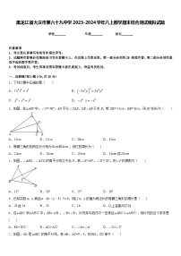 黑龙江省大庆市第六十九中学2023-2024学年八上数学期末综合测试模拟试题含答案