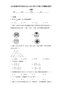 山东省德州市齐河县2022-2023学年八年级上学期期末数学试题