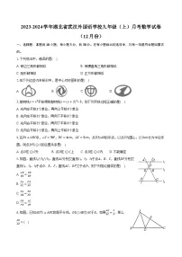 2023-2024学年湖北省武汉外国语学校九年级(上)月考数学试卷(12月份)(含解析)