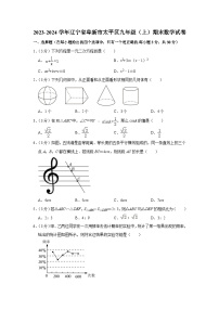 辽宁省阜新市太平区2023-2024学年九年级上学期期末数学试卷