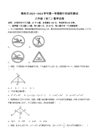 江西省南昌市2023-2024学年八年级上学期期中数学试题