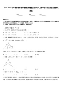 2023-2024學(xué)年吉林省長(zhǎng)春市朝陽區(qū)新朝陽實(shí)驗(yàn)學(xué)校八上數(shù)學(xué)期末質(zhì)量跟蹤監(jiān)視模擬試題含答案