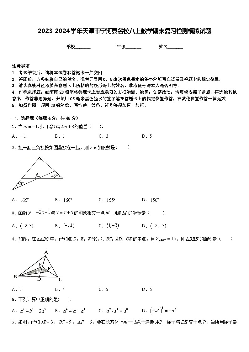 2023-2024学年天津市宁河县名校八上数学期末复习检测模拟试题含答案01