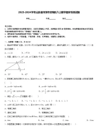 2023-2024学年山东省菏泽市定陶区八上数学期末检测试题含答案
