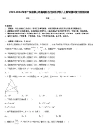 2023-2024学年广东省佛山市南海区石门实验学校八上数学期末复习检测试题含答案