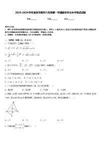 2023-2024学年宜宾市数学八年级第一学期期末学业水平测试试题含答案