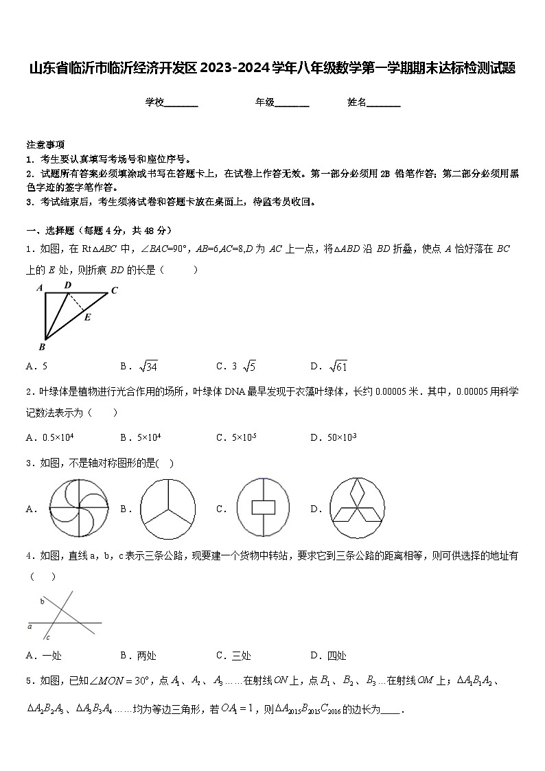山东省临沂市临沂经济开发区2023-2024学年八年级数学第一学期期末达标检测试题含答案第1页