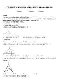 广东省东莞虎门汇英学校2023-2024学年数学八上期末质量检测模拟试题含答案
