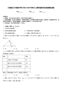 江西省九江市同文中学2023-2024学年八上数学期末综合测试模拟试题含答案