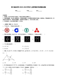 浙江省金华市2023-2024学年八上数学期末考试模拟试题含答案