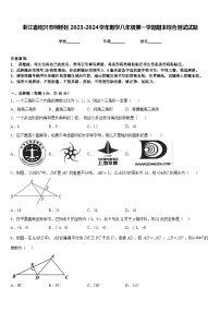 浙江省绍兴市柯桥区2023-2024学年数学八年级第一学期期末综合测试试题含答案
