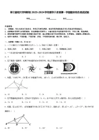 浙江省绍兴市柯桥区2023-2024学年数学八年级第一学期期末综合测试试题含答案