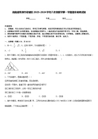 湖南省株洲市荷塘區(qū)2023-2024學年八年級數(shù)學第一學期期末調研試題含答案
