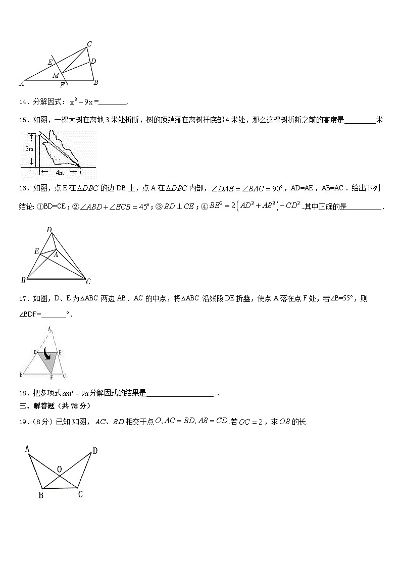 越秀區(qū)執(zhí)信中學(xué)2023-2024學(xué)年八上數(shù)學(xué)期末統(tǒng)考模擬試題含答案第3頁