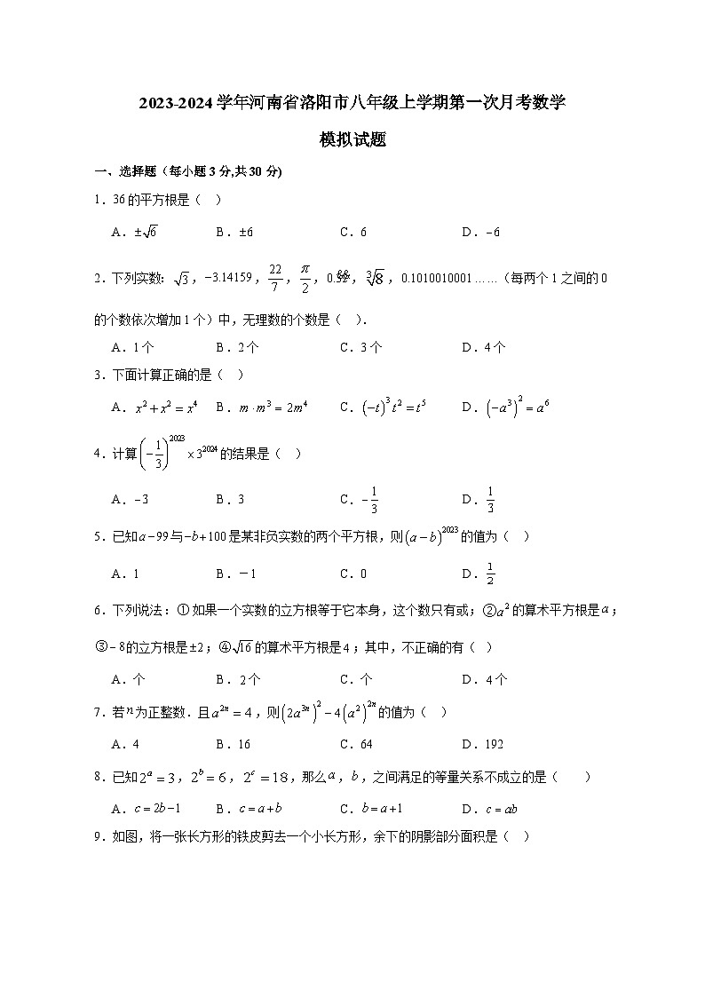 2023-2024学年河南省洛阳市八年级上册第一次月考数学测试卷(附答案)第1页