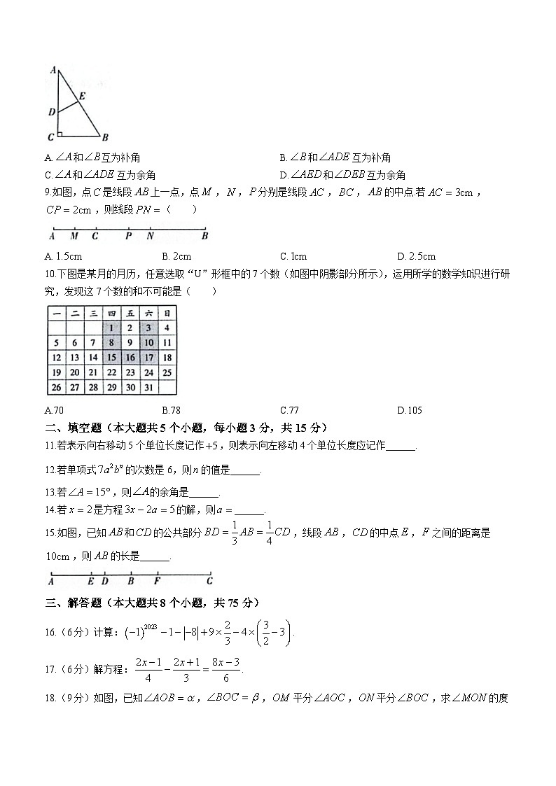 吉林省白山市江源区2023-2024学年七年级上学期期末数学试题第2页