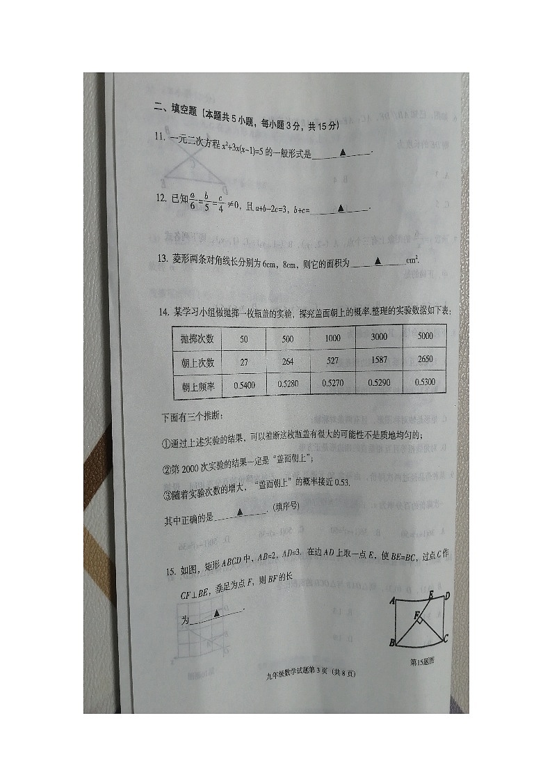 辽宁省沈阳市辽中区2023-2024学年九年级上学期1月期末数学试题03
