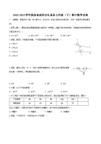 2022-2023学年陕西省咸阳市礼泉县七年级（下）期中数学试卷（含解析）