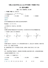 精品解析：安徽省马鞍山市花山区马鞍山市成功学校2022-2023学年八年级上学期期中数学试题（解析版）