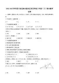 2022-2023学年四川省宜宾市叙州区龙文学校八年级(上)期末数学试卷(含解析)