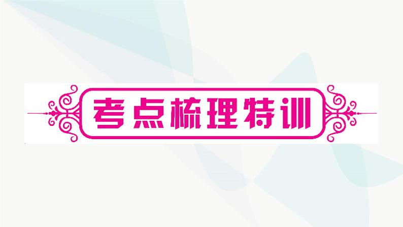 中考数学复习第一章数与式第一节实数课件第2页