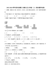 2023-2024学年贵州省铜仁市碧江区七年级(上)期末数学试卷(含解析)