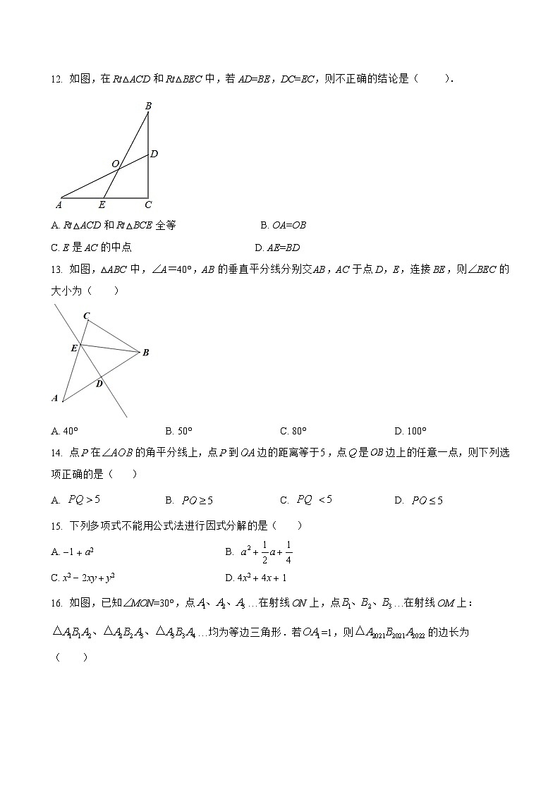 河北省邯郸市临漳县2022-2023学年八年级上学期期末模拟测试数学试卷(含解析)第3页