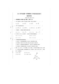 上海市普陀区2023-2024学年八年级上学期期末数学试题