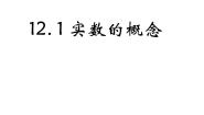 数学七年级下册12.1  实数的概念授课课件ppt