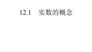 数学七年级下册12.1  实数的概念备课课件ppt