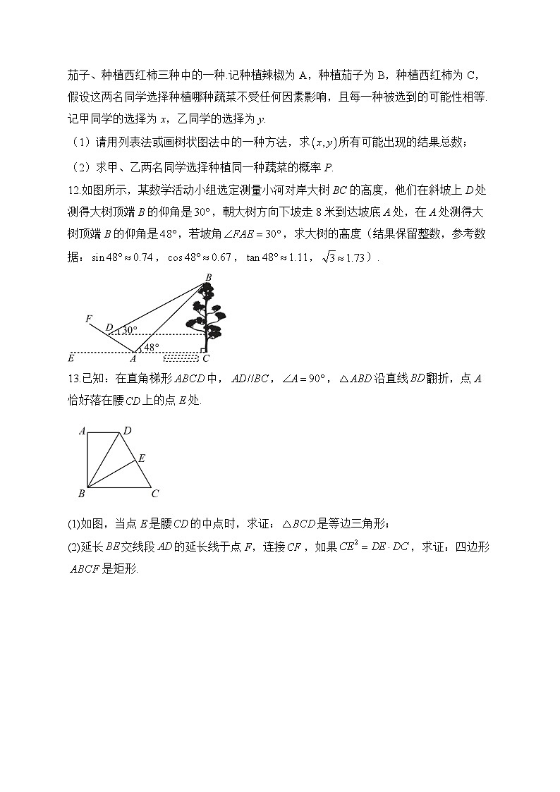 华师大版2023-2024学年数学九年级上册期末复习专练(5)及答案第3页