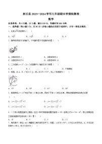 河南省新乡市封丘县2023-2024学年九年级上学期期末数学试题
