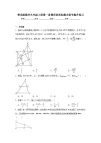 青岛版数学九年级上册第一章图形的相似期末章节提升练习