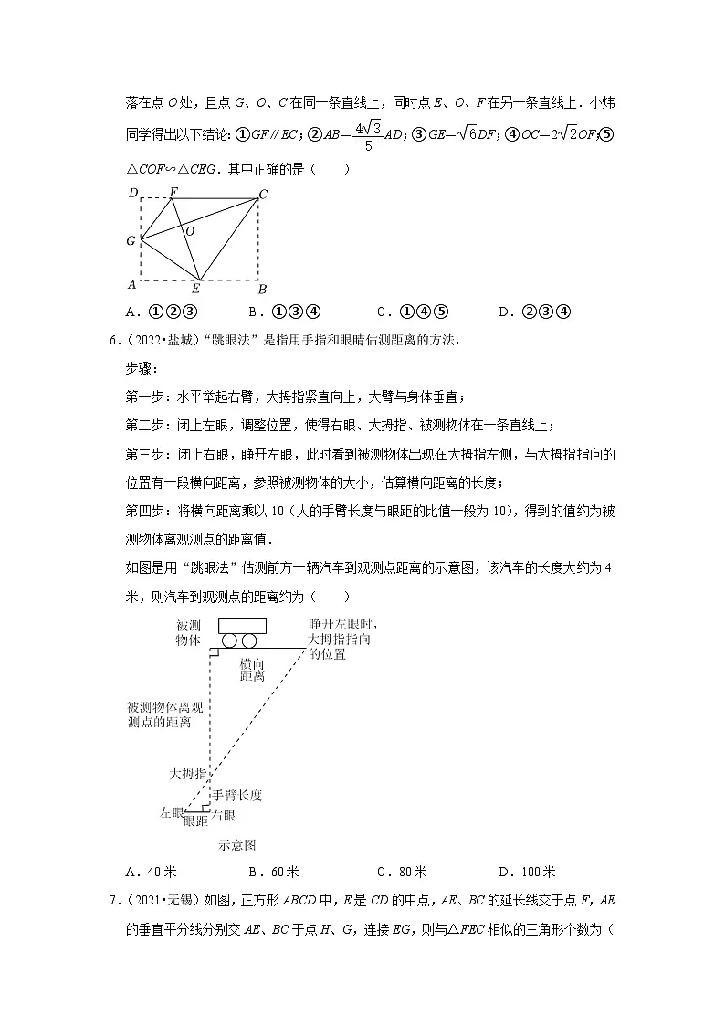 第6章 图形的相似(中考经典常考题)-江苏省2023-2024学年下学期九年级数学单元培优专题练习(苏科版)第2页