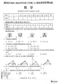 廣西壯族自治區(qū)柳州市2023-2024學(xué)年八年級(jí)上學(xué)期1月期末數(shù)學(xué)試題