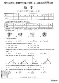 广西壮族自治区柳州市2023-2024学年八年级上学期1月期末数学试题
