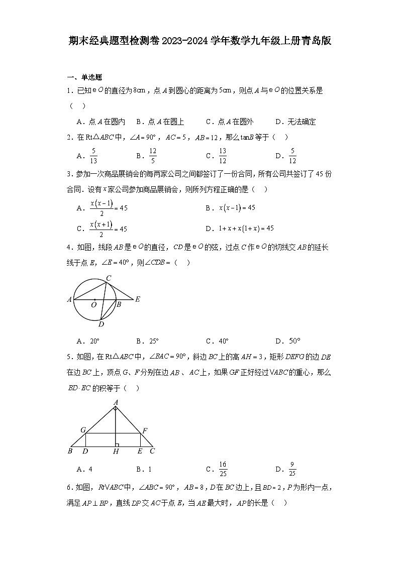 期末经典题型检测卷2023-2024学年数学九年级上册青岛版01